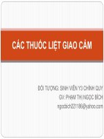 Các thuốc liệt giao cảm 