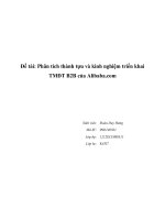 Phân tích thành tựu và kinh nghiệm triển khai thương mại điện tử b2b của alibaba 