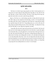 cấu trúc,hoạt động Tân cảng sài gòn