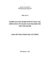 Nghiên cứu một số biện pháp kỹ thuật cho giống khoai tây solara tại huyện định hóa, tỉnh thái nguyên 