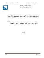 Quản trị phân phối và bán hàng   công ty cổ phần tràng an 