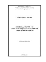Mô hình lan truyền dầu trong nước biển tại vùng nghiên cứu thuộc biển đông nam bộ 
