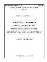 Nghiên cứu vai trò của nhiễu loạn tần số tim trong tiên lượng tử vong bệnh nhân sau nhồi máu cơ tim cấp