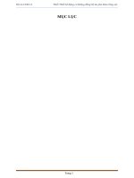 Thiết kế động cơ không đồng bộ ba pha Roto lồng sóc