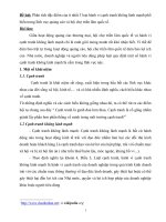 Phân tích đặc điểm của ít nhất 3 loại hành vi cạnh tranh không lành mạnh phổ biến trong lĩnh vực quảng cáo và hội chợ triển lãm quốc tế  