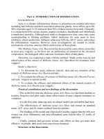 Nghiên cứu độc tính và hiệu quả của dịch chiết từ rễ cây ba bét lùn (mallotusnanus airy shaw) điều trị bệnh trứng cá thông thường tiếng anh