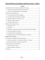 Tiểu luận phân tích chiến lược của công ty điện máy topcare 