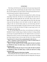 Báo cáo thực tập   KHÁCH sạn PROMEXCO 