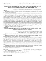 Bs  vu van vu , KH O SÁT TÌNH TRNG ĐAU VÀ CHÂT LƯNG SÔNG BENH NHÂN UNG THƯ GIAI ĐON TIÊN XA TI BENH VIEN UNG BƯU TPHCM 72009  72010