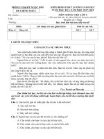 Đề kiểm tra chất lượng cuối kì 1 môn tiếng Việt lớp 5 năm học 20182019 theo thông tư 22