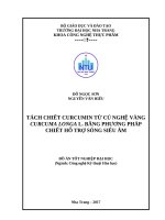 ĐỒ ÁN TÁCH CHIẾT CURCUMIN TỪ CỦ NGHỆ VÀNG CURCUMA LONGA   L. BẰNG PHƯƠNG PHÁP CHIẾT HỖ TRỢ SÓNG SIÊU ÂM