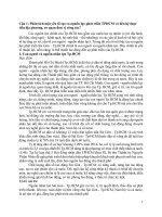 Đề cương thảo luận môn Thành phố hồ chí minh học, năm 2018