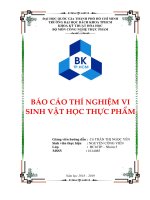 báo cáo vi sinh abcxyz