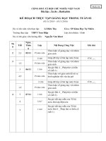 kế hoạch giảng dạy lớp 11 , kế hoạch giáo dục