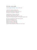 Hợp âm bài hát chỉ còn mùa quên 