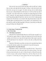 Mang thai hộ vì mục đích nhân đạo theo luật hôn nhân và gia đình 2014