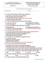 câu hỏi trắc nghiệm thương mại điện tử