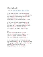 Hợp âm guitar bài hát chiều buồn 