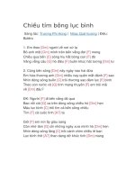 Hợp âm guitar bài hát chiều tím bông lục bình 