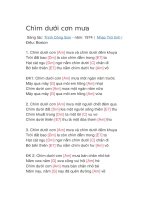 Hợp âm guitar bài hát chìm dưới cơn mưa 