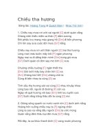 Hợp âm guitar bài hát chiều tha hương 