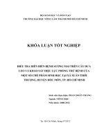 ĐỒ ÁN ĐIỀU TRA DIỄN BIẾN BỆNH SƯƠNG MAI TRÊN CÂY DƯA LEO VÀ KHẢO SÁT HIỆU LỰC PHÒNG TRỪ BỆNH CỦA  MỘT SỐ CHẾ PHẨM SINH HỌC TẠI XÃ XUÂN THỚI  THƯỢNG, HUYỆN HÓC MÔN, TP. HỒ CHÍ MINH