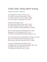 Hợp âm guitar bài hát chiều biển vắng thênh thang 