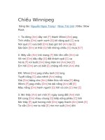 Hợp âm guitar bài hát chiều winnipeg 