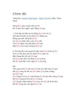 Hợp âm guitar bài hát chìm đò 