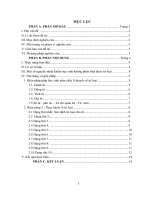 SKKN về thực hành từ loại lớp 5(đạt giải cấp huyện)