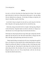 Tả con      sông quê em