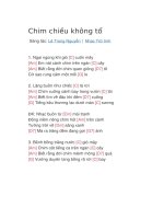 Hợp âm guitar bài hát chim chiều không tổ 