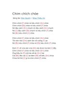 Hợp âm guitar bài hát chim chích chòe 