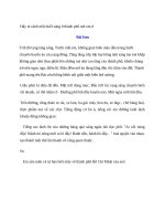 Hãy tả cảnh một buổi sáng ở thành phố nơi em ở