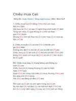 Hợp âm guitar bài hát chiều mưa cali 