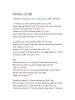 Hợp âm guitar bài hát chiều cố đô 