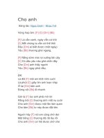 Hợp âm guitar bài hát cho anh 