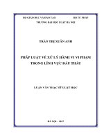 Pháp luật về xử lý hành vi vi phạm trong lĩnh vực đấu thầu (luận văn thạc sĩ luật học) 