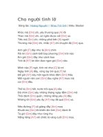 Hợp âm guitar bài hát cho người tình lỡ 