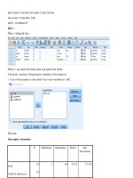 BÀI THỰC HÀNH TIN học ỨNG DỤNG SPSS