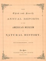 Annual Reports 1872