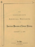 Annual Reports 1878