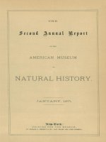 Annual Reports 1871