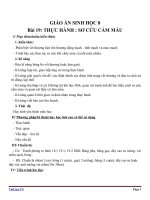 Giáo án Sinh học 8 bài 19: Thực hành Sơ cứu cầm máu