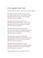 Hợp âm guitar bài hát cho người tình nhỏ 