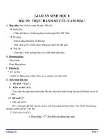 Giáo án Sinh học 8 bài 19: Thực hành Sơ cứu cầm máu