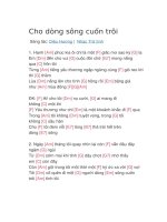 Hợp âm guitar bài hát cho dòng sông cuốn trôi 