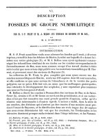 VI - DESCRIPTION DES FOSSILES DU GROUPE NUMMULITIQUE RECUEILLIS PAR M, S.-P, PRATT ET H, J. DELBOS AUX ENVIRONS DE BAYONNE ET DE DAX, PAR M. A. D''''ARCHIAC