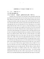Nghiên cứu ảnh hưởng của truyền thông tiếp thị đến các thành phần giá trị thương hiệu nước giải khát 
