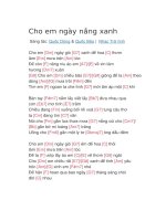 Hợp âm guitar bài hát cho em ngày nắng xanh 